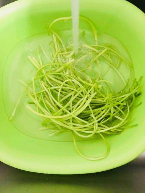 摘好的芹菜用清水冲洗