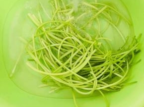 摘好的芹菜用清水冲洗