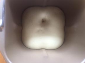 面包机发酵到2-3倍。