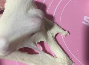 面团材料手揉至成膜（十分钟）