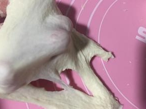 面团材料手揉至成膜（十分钟）