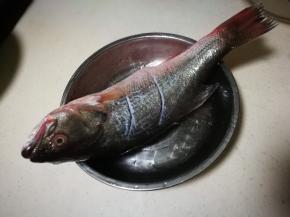 鲈鱼收拾干净 两侧切花刀