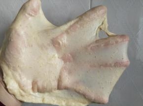 再揉15分钟，揉至光滑不易破的薄膜即可。