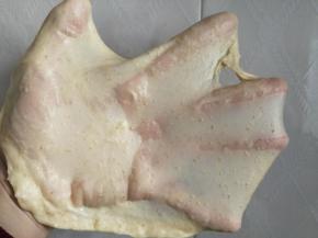 揉出不易破的薄膜即可。