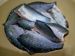 野生鲫鱼洗净去头尾，放入适量盐和料酒腌制10分钟。