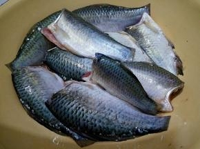 野生鲫鱼洗净去头尾，放入适量盐和料酒腌制10分钟。