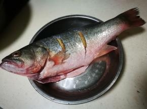 姜片塞入鱼腹