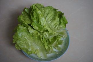 生菜洗净
