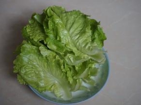 生菜洗净
