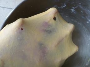 厨师机继续揉面约8分钟，至面团能拉出大片薄膜的完全阶段，揉面完成