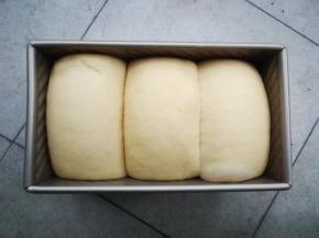 放入烤箱开启发酵档进行二发，约45分钟发至九分满