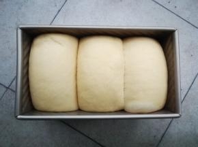 放入烤箱开启发酵档进行二发，约45分钟发至九分满