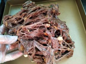 两手将牛轧糖拉扯开、折叠，使糖包裹饼干和果脯坚果