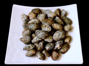 花蛤提前用淡盐水浸泡一个小时后吐沙洗净备用