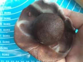 松弛后的面团对折处朝上，擀成圆皮，包住豆沙馅儿