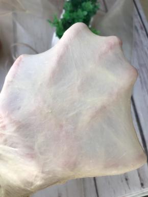 揉至扩展阶段即可，出现手套膜面包效果会更好。