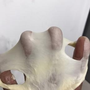 1把所有食材除黄外一起放入厨师机桶里，二档揉成面团后转4-5 档揉至扩展阶段后加入软化的黄油，厨师机二档把黄油揉匀，转6档揉至接近完全扩展阶段。