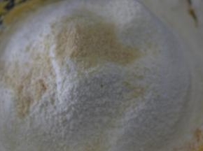 刷入低筋粉和奶粉混合粉，倒入芝士粉