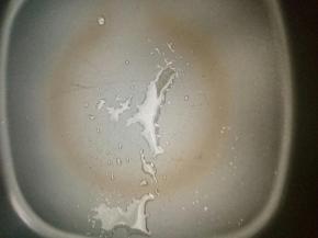 倒少量油，放一点点盐在油上！