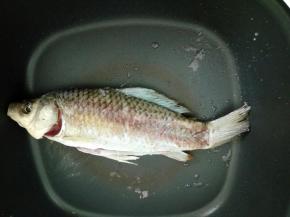 等到一面煎好以后翻到另一面煎！