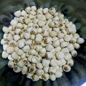 莲子清洗干净