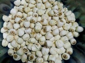 莲子清洗干净