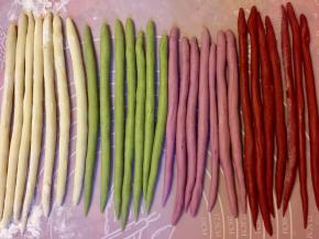 重复以上步骤，把四种颜色的长条分别揉成7条等长等粗的长条。全程盖保鲜膜，防止变干。