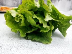生菜一颗