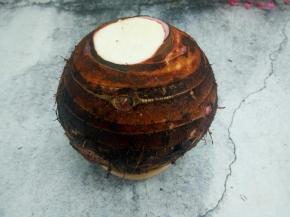 毛芋一个（朋友家自己种的，好大一个）