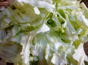 包菜洗净用手撕块