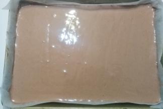 再把拌好的蛋糕糊倒入烤盘中，轻轻震荡几下用抹刀抹平表面，然后放入预热好的烤箱中层170度烤约25分钟即好；