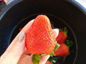 洗草莓的时候可以放一些小苏打或者盐可以去除农药