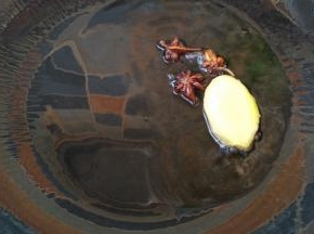 锅里入油放入八角和生姜炒香