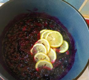 放入刚刚去籽的柠檬片