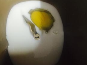 2. 在面包机中加入牛奶和鸡蛋