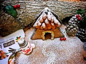 17．在姜饼屋上筛糖粉，营造下雪的气氛，放在场景中。是不是很有圣诞的感觉呀。