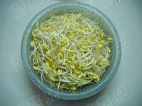 准备好小黄豆芽，洗净、沥干水分备用。