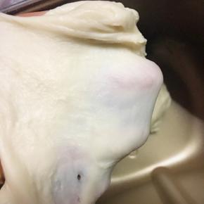 2、油皮揉至出薄膜即可盖上保鲜膜静止30分钟