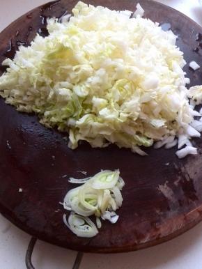 白菜洗净切碎丁，共用4个白菜帮，再切点葱花