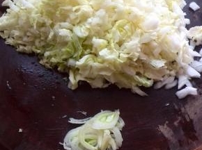 白菜洗净切碎丁，共用4个白菜帮，再切点葱花
