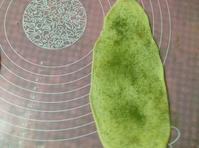 上面撒上抹茶粉，依次做完