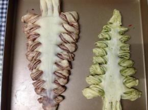 同样的摆入烤盘整形