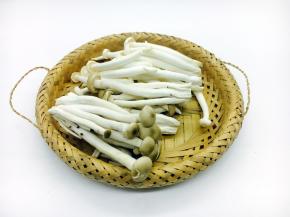 准备好的鲜蘑菇。 菜谱中鲜蘑菇只用了图中的三分之一的量。