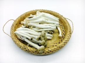 准备好的鲜蘑菇。 菜谱中鲜蘑菇只用了图中的三分之一的量。