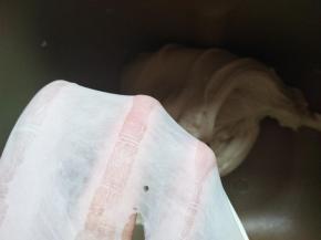 启动一个揉面程序，加入软化的黄油，再次启动一个揉面程序直到薄膜