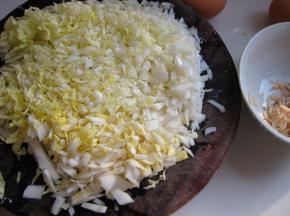 白菜芯洗净切成碎末，虾皮用清水淘洗干净，控掉水分