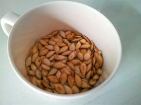 南瓜籽洗净晒干。