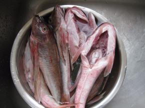刨肚去肠，鱼鳔不要扔掉，务必清洗干净，红头鱼腥气来自血，多清洗几遍
