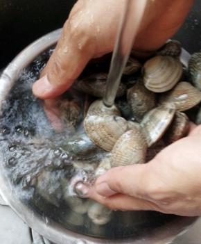 蛤蜊是已吐过沙的，用流水冲洗干净即可