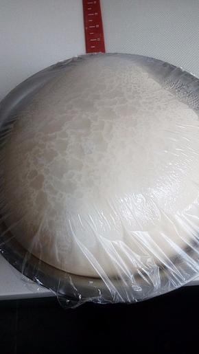 第二天取出发酵一晚的面团，已发至满盆